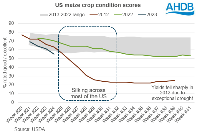 Graph showing the proportion of the US maize crop rated good or excellent